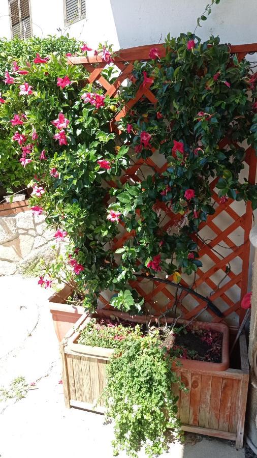 Gatti E Mare Villa Salerno Exterior photo